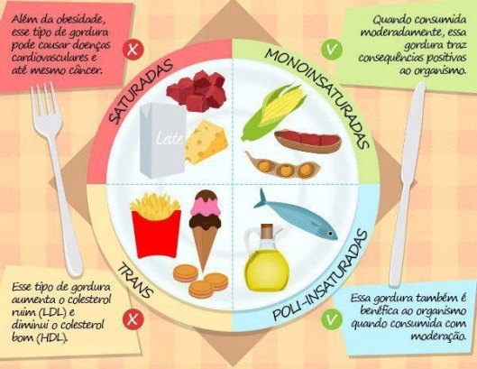 4tipos de gordura